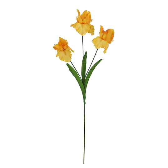 29" Yellow Iris Stem by Ashland®